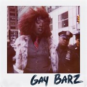 Gay barz cover image
