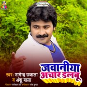 Jawaniya aachar dalabu cover image