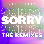 Sorry (the remixes) [pt.2] : the remixes cover image