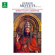 Bach: motets, bwv 225 - 231, cantatas, bwv 50 & 118 : Cantatas, BWV 50 & 118 cover image