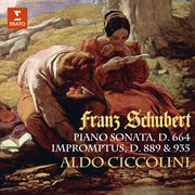 Schubert: Piano Sonata No. 13, D. 664, Impromptus, D. 889 & 935 : Piano Sonata No. 13, D. 664, Impromptus, D. 889 & 935 cover image