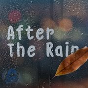 After The Rain cover image
