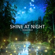 Shine At Night cover image