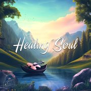 Healing Soul cover image