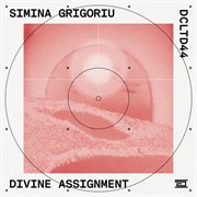 Divine Assignment (Extended Mix) cover image