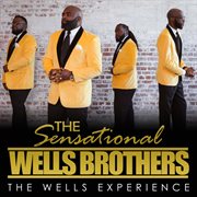 The wells experience cover image