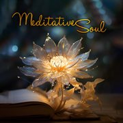 Meditative Soul cover image