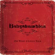 Oh what a lovely tour - babyshambles live cover image