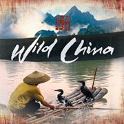 Wild china (original soundtrack) cover image