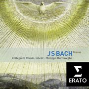 Bach : masses bwv 233-235, sanctus bwv 238 cover image