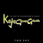 Too shy: the best of kajagoogoo & limahl cover image