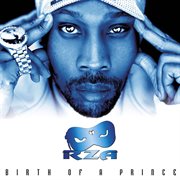 Birth of a prince cover image