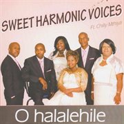 O halalehile (feat. chilly mthiya) cover image