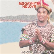 Ngicelumthandazo cover image