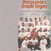 Manditwale izizqhamo cover image