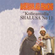 Shalusa no11 cover image