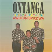 Awufun'ukuzwa cover image