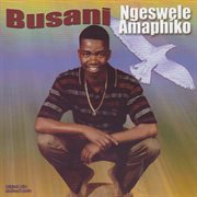 Ngeswele amaphiko cover image