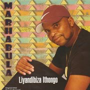 Liyandibiza ithongo cover image