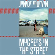 Muggers in the street cover image