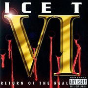 Vi: Return Of The Real cover image