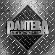 Reinventing the steel (20th anniversary edition) cover image