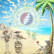 Playing in the sand, riviera maya, 2/15/18 (live) cover image