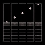 Let it wander cover image