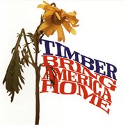 Bring america home cover image