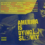 America is dying slowly cover image