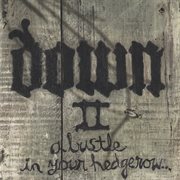 Down ii cover image