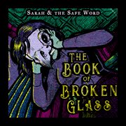 The book of broken glass cover image