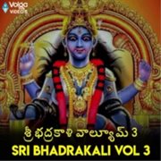 Sri Bhadrakali Vol 3 cover image