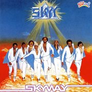 Skyway cover image