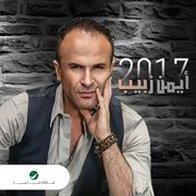 Ayman zbib 2017 cover image