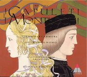 Bellini : i capuleti e i montecchi cover image