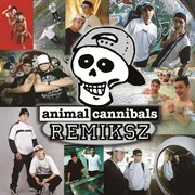 Remiksz cover image