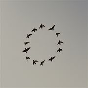 Morality cuts cover image