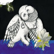 The magnolia electric co cover image