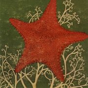 Arm of the starfish cover image