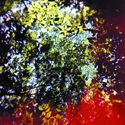 Butterfly horse street cover image