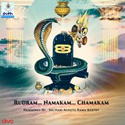 Rudram Namakam Chamakam cover image
