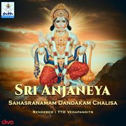 Sri Anjaneya Sahasranamam Dandakam Chalisa cover image