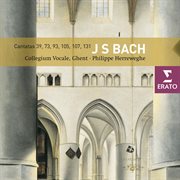 Bach : cantatas cover image
