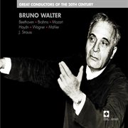 Bruno walter :great conductors of the 20th century cover image