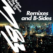 Before the dawn heals us remixes & b-sides cover image