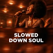 Slowed Down Soul cover image