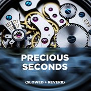 Precious Seconds (Slowed + Reverb) cover image