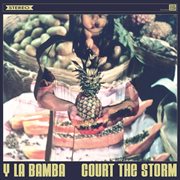 Court the storm cover image