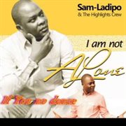 I am not alone cover image